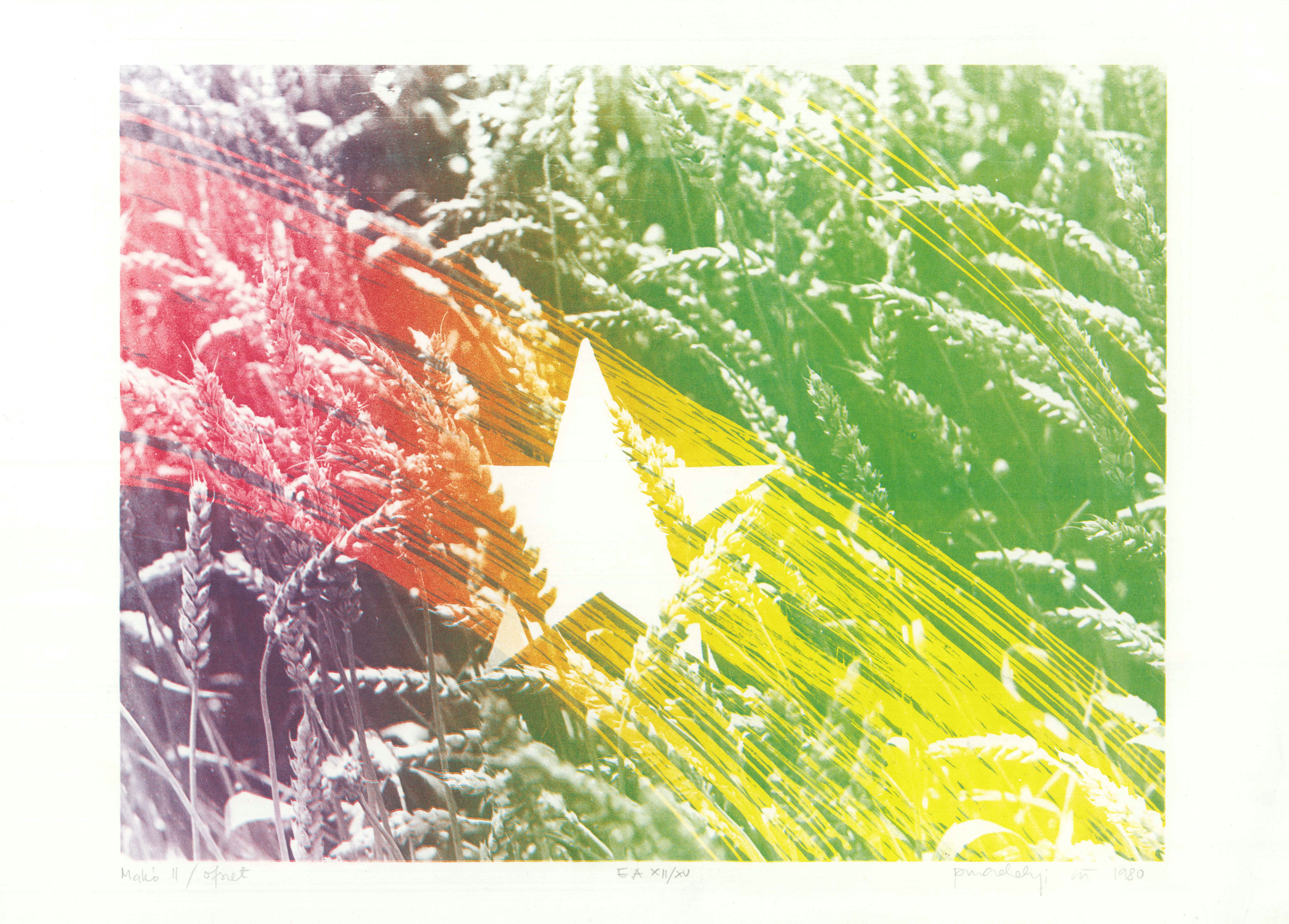 PINCZEHELYI Sándor: Makó II., 1980, ofszetnyomat | offset print (ed.15), 300 × 420 cm © Neon Galéria PINCZEHELYI Sándor