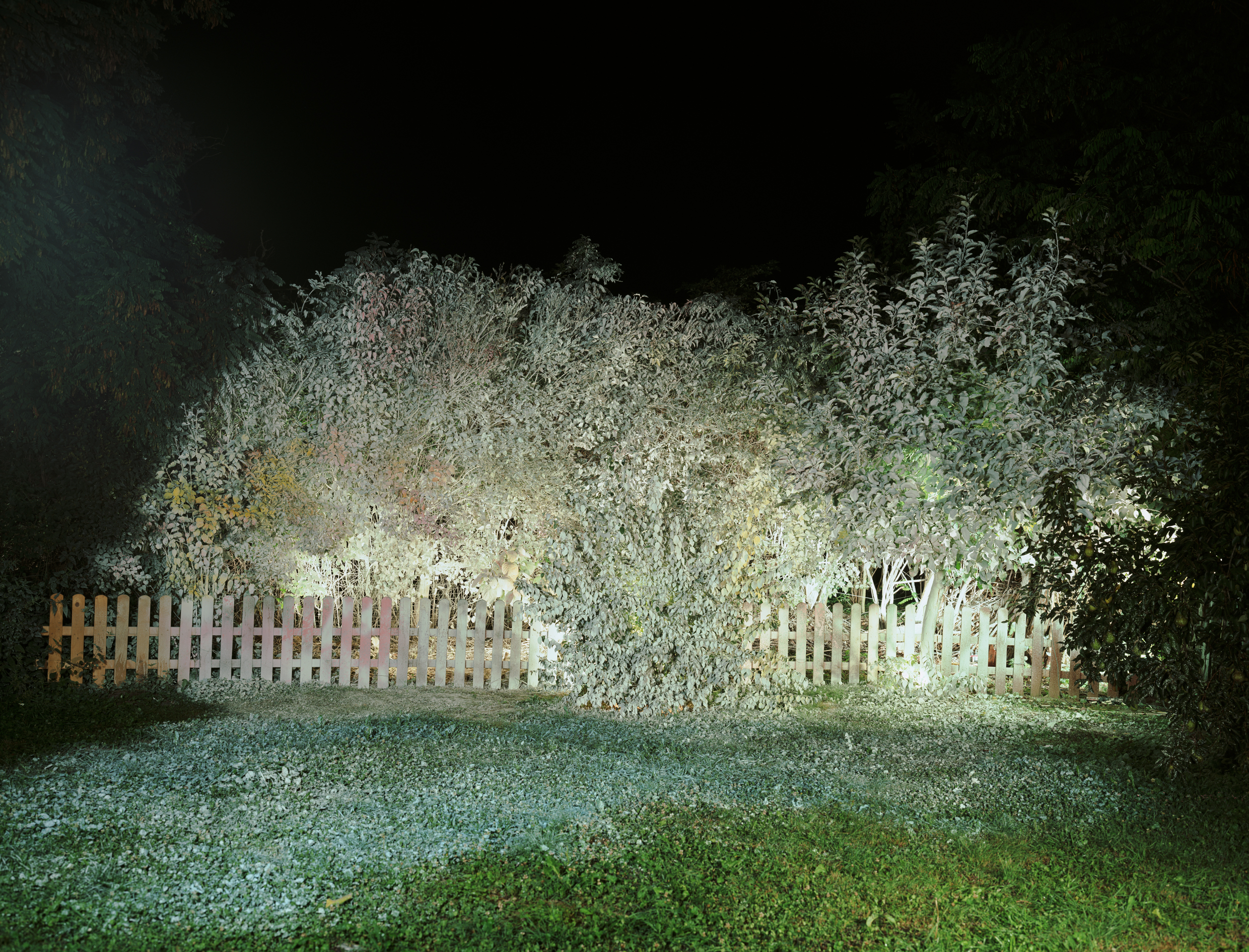 Ősz Gábor: Nagyítás A. kép / Blow-Up Image A, 2010 © Gábor Ősz. A művész jóvoltából / Courtesy of the artist Ősz Gábor: Nagyítás A. kép / Blow-Up Image A, 2010
