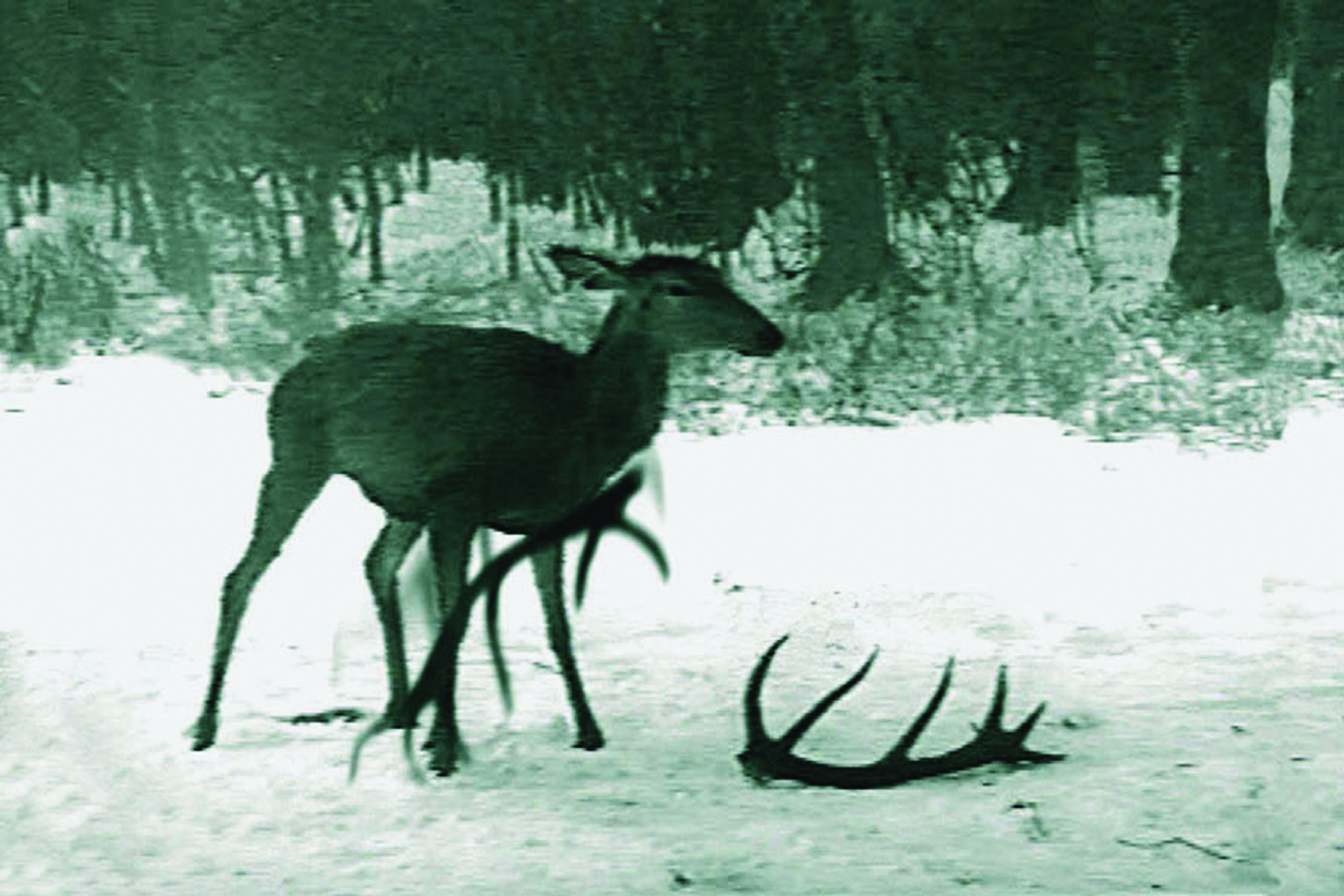 APSOLUTNO: Atrófia, állókép, 2002 © Zoran Pantelić
APSOLUTNO: A.trophy, video still, 2002 © Zoran Pantelić Apsolutno
