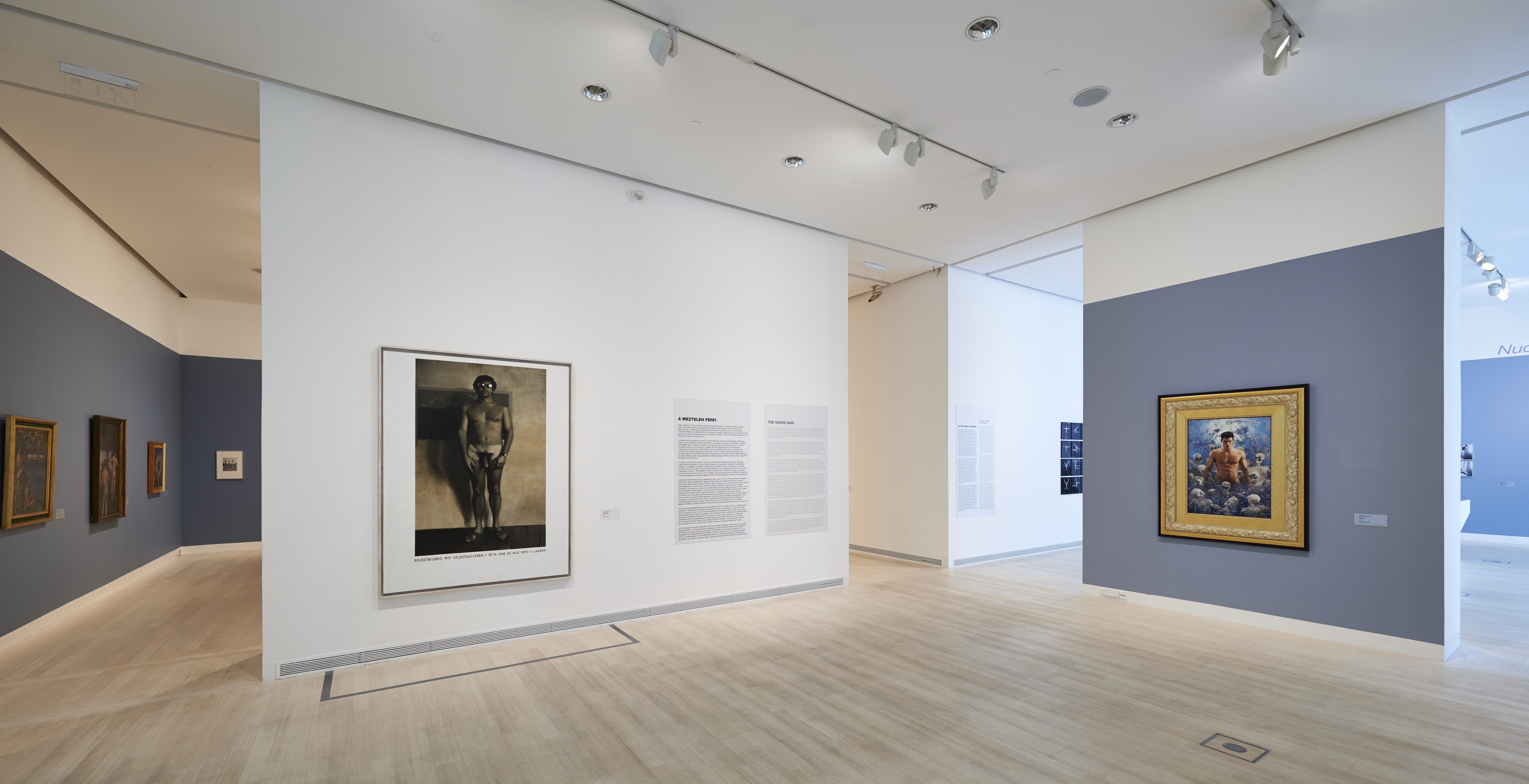 A meztelen férfi, kiállítási enteriőr, Ludwig Múzeum – Kortárs Művészeti Múzeum, Budapest, 2013. © Fotó: Darabos György / Ludwig Múzeum - Kortárs Művészeti Múzeum, Digitális Archívum és AdattárThe Naked Man, exhibition view, Ludwig Museum – Museum of Contemporary Art, Budapest, 2013 © Photo: György Darabos / Ludwig Museum - Museum of Contemporary Art, Archives A meztelen férfi / Enteriőr