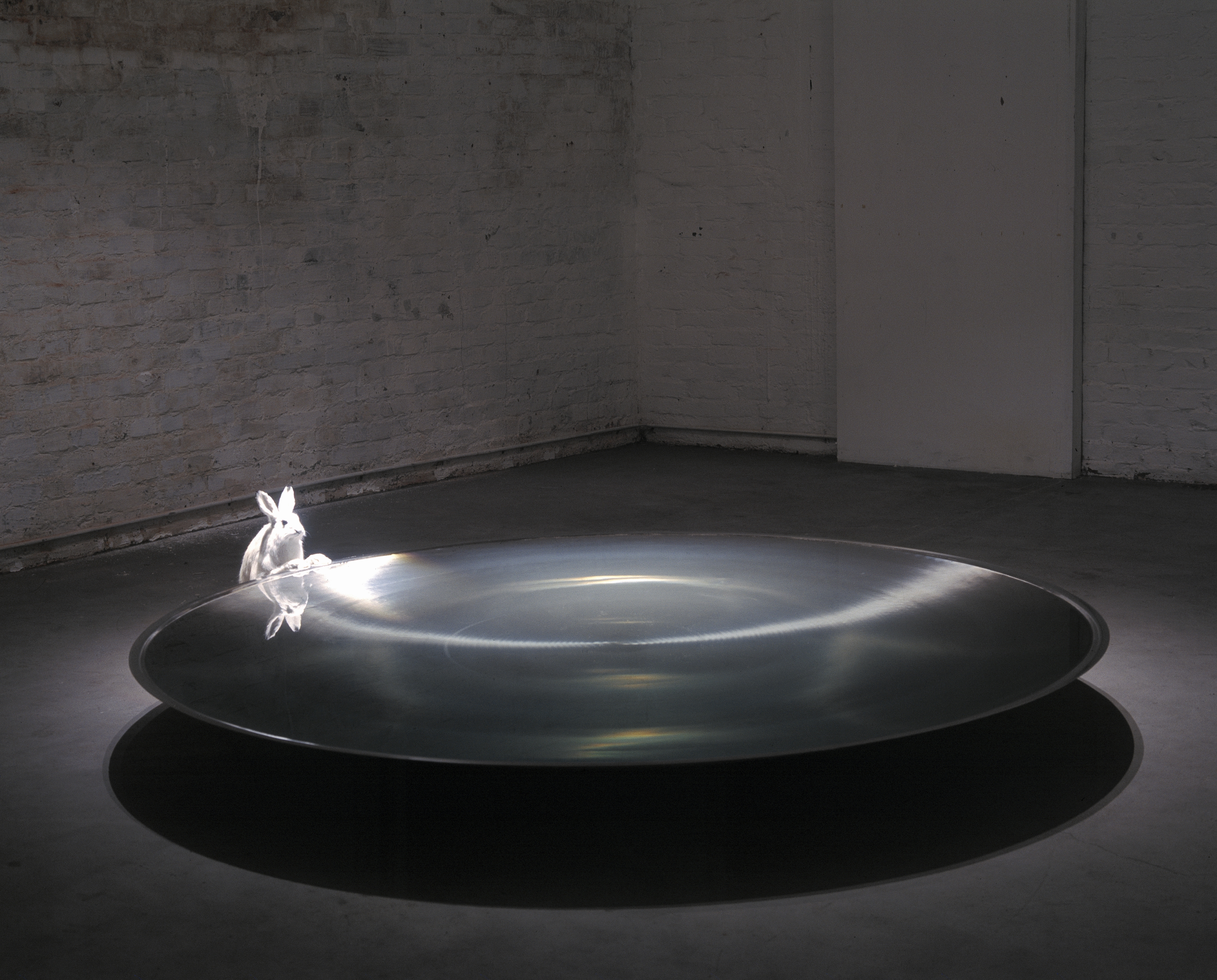 Pekka Jylhä Szeretném megérteni / I Would Like to Understand, 2000-01Kitömött nyúl, rozsdamentes acél, pumpa, víz / Stuffed hare, stainless steel, pump, water52 x 250 cm átmérő a legszélesebb pontonWäinö Aaltonen Művészeti Múzeum – Turku Városi Művészeti Gyűjtemény / Wäinö Aaltonen Museum of Art – Turku City Art Collection Arctic Hysteria