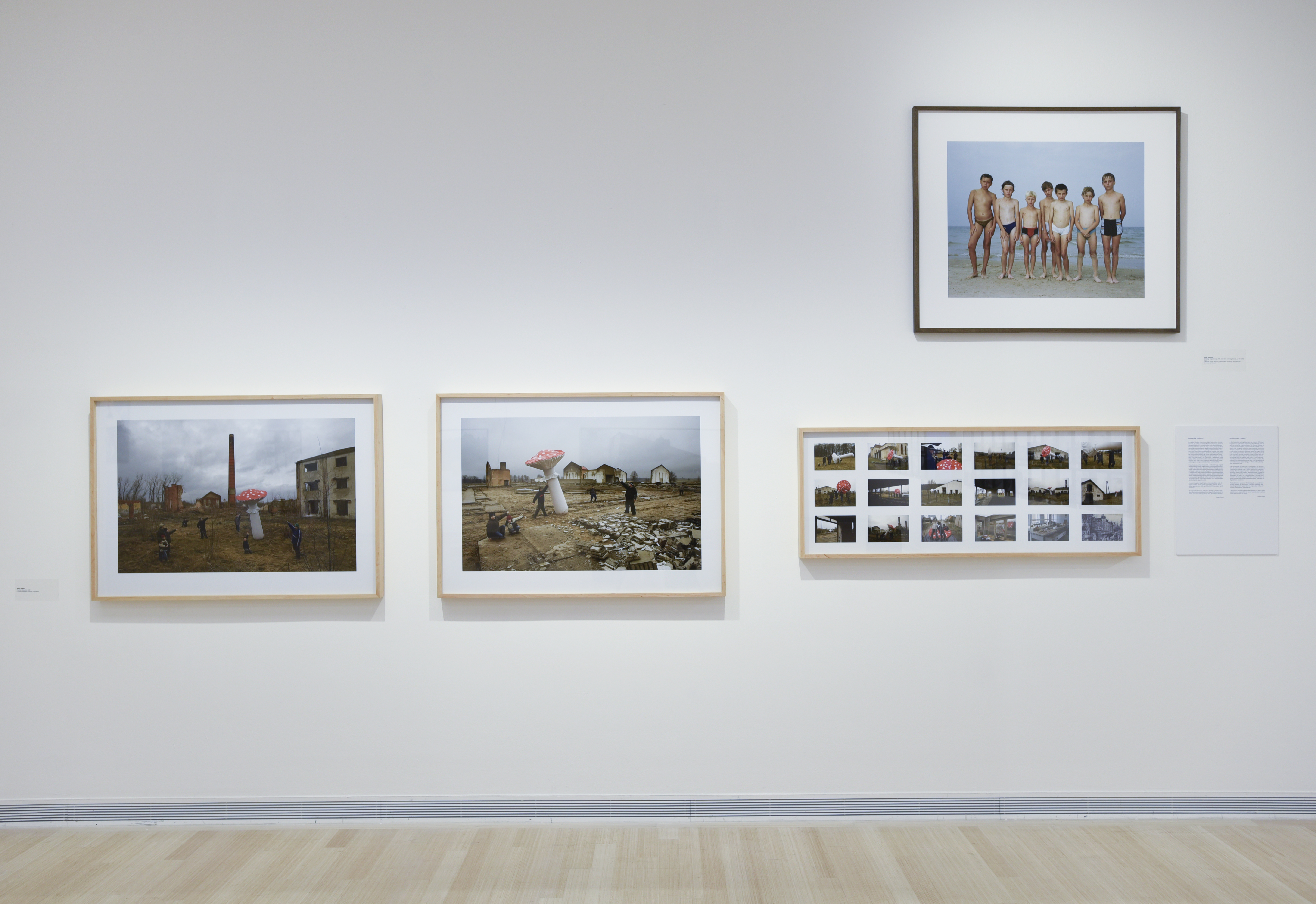 Kiállítási enteriőr (fotó: Rosta József)
Exhibition view (Photo by József Rosta) Kiállítási enteriőr (fotó: Rosta József) 8869