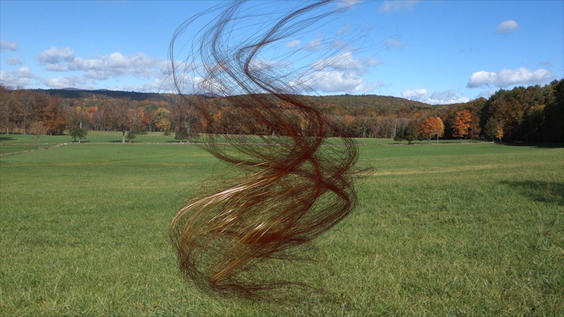 Alex Czetwertyński: Forgószél 2, 2016. Videó HD, 2’51’’. A művész és Biuro Wystaw jóvoltából 
Alex Czetwertyński, Whirlwind 2, 2016, video HD, 2’51’’, courtesy of the artist and Biuro Wystaw Alex Czetwertyński