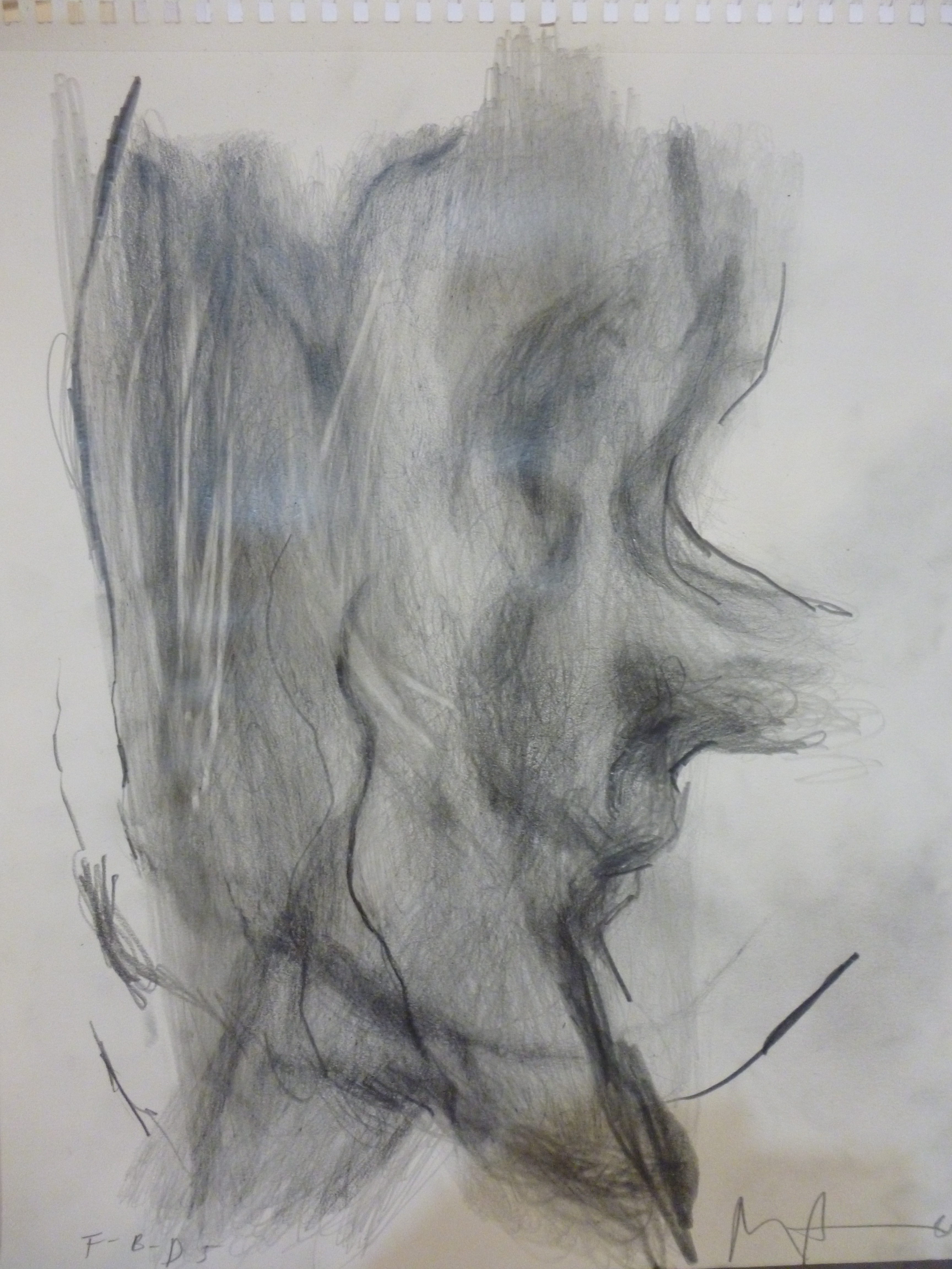 Rita Ackermann: Tűz, nap nap után, 2011Ceruzarajz, papír37 x 28 cmA művész jóvoltábólRita Ackermann: Fire by Days, 2011Pencil drawing on paper37 x 28 cmCourtesy of the Artist Rita Ackermann