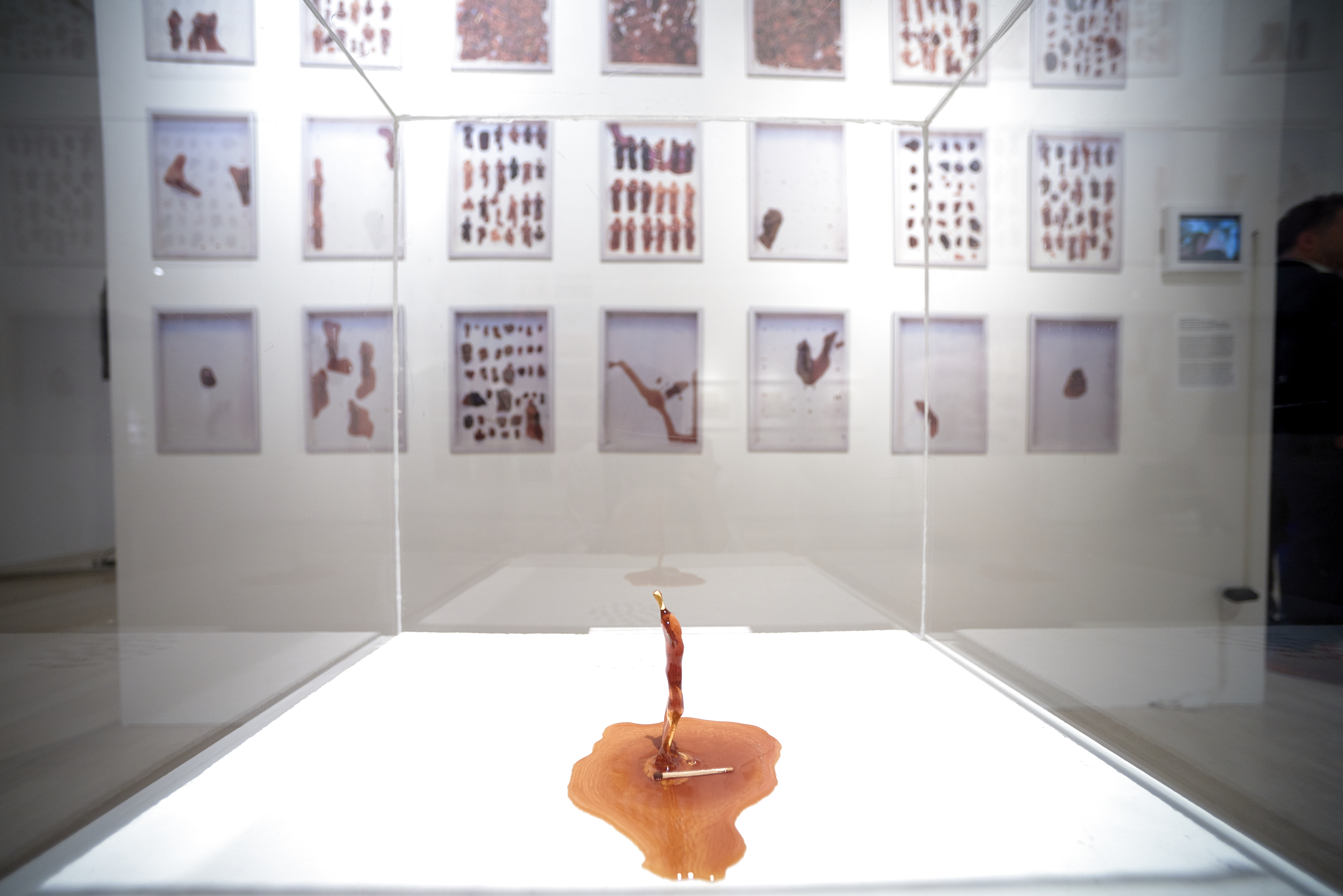 © VÉGEL Dániel / Ludwig Múzeum - Kortárs Művészeti Múzeum Adattára
© Dániel VÉGEL / Ludwig Museum - Museum of Contemporary Art, Archive Interieur_4