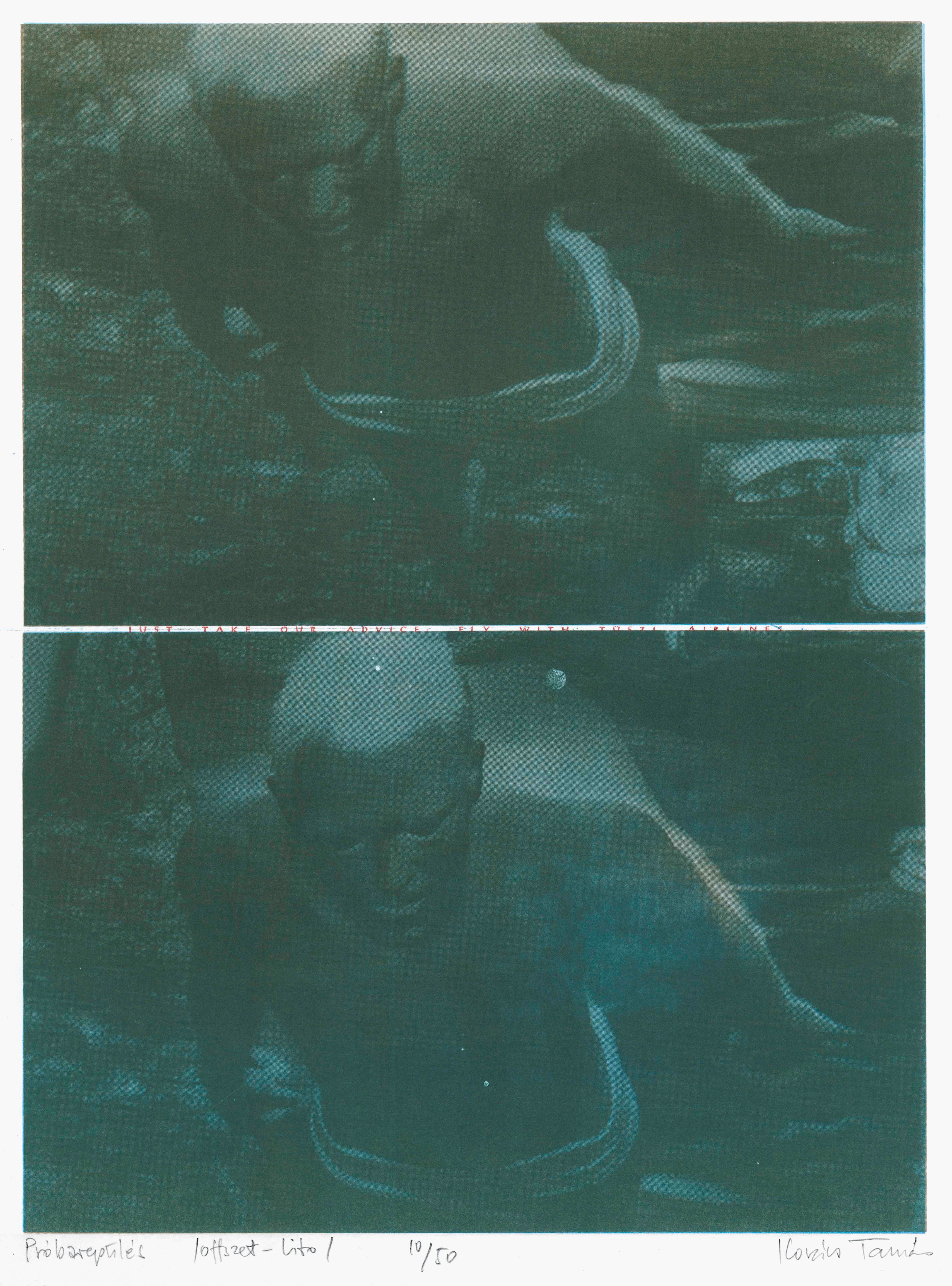 KOVÁCS Tamás: Próbarepülés | Test flight, 1984, ofszetnyomat | offset print (ed.50), 400 × 295 mm © Neon Galéria KOVÁCS Tamás