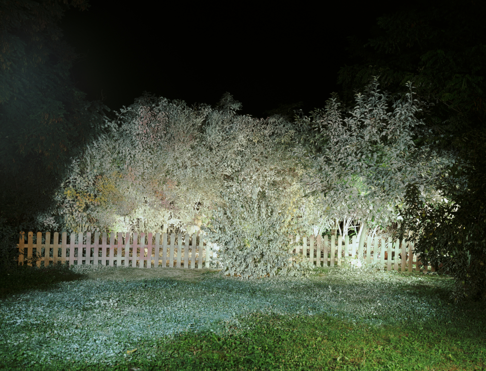 Ősz Gábor: Nagyítás A. kép / Blow-Up Image A, 2010