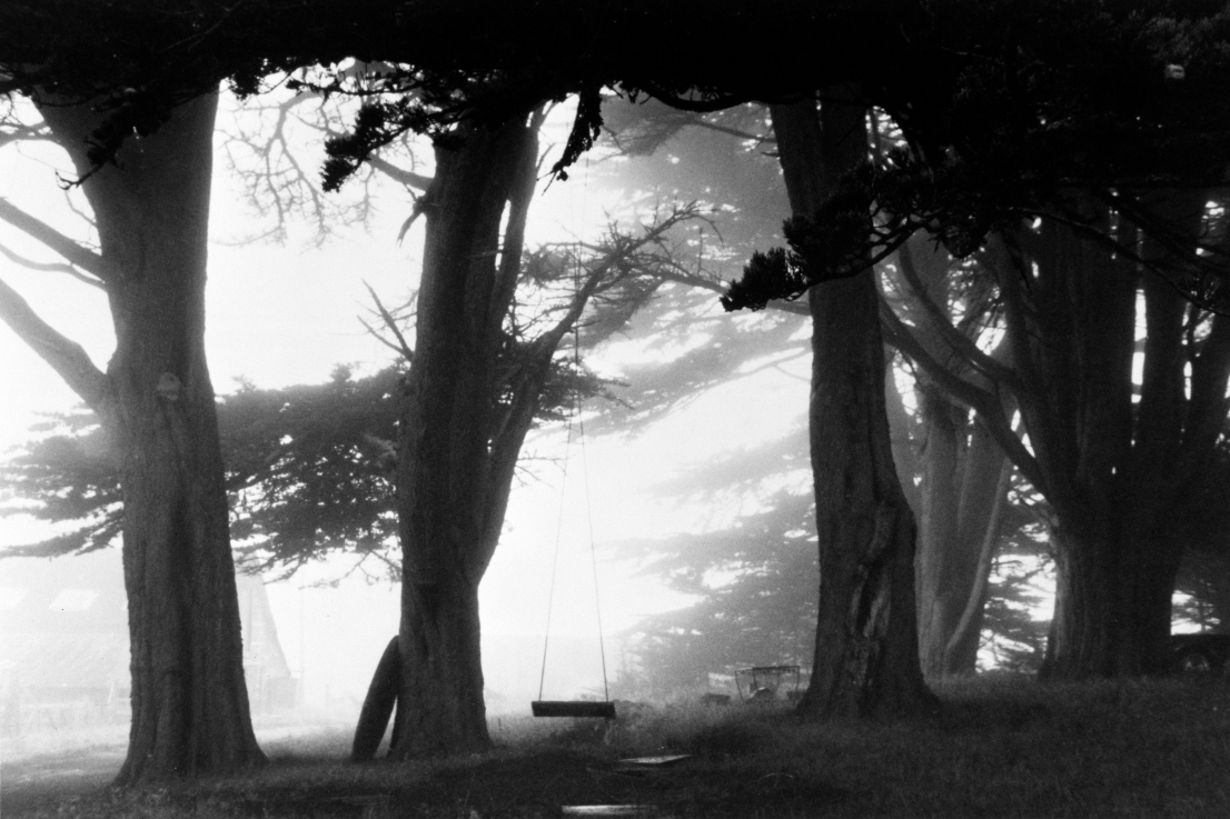 Swing. North California