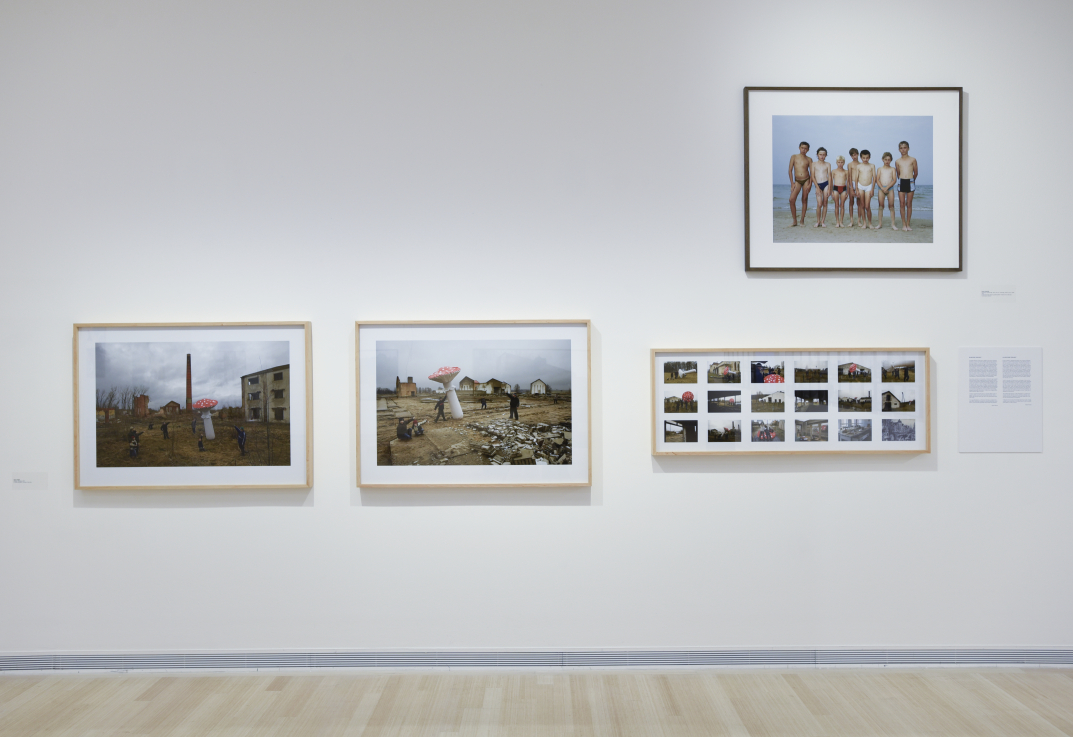 Kiállítási enteriőr (fotó: Rosta József) 8869