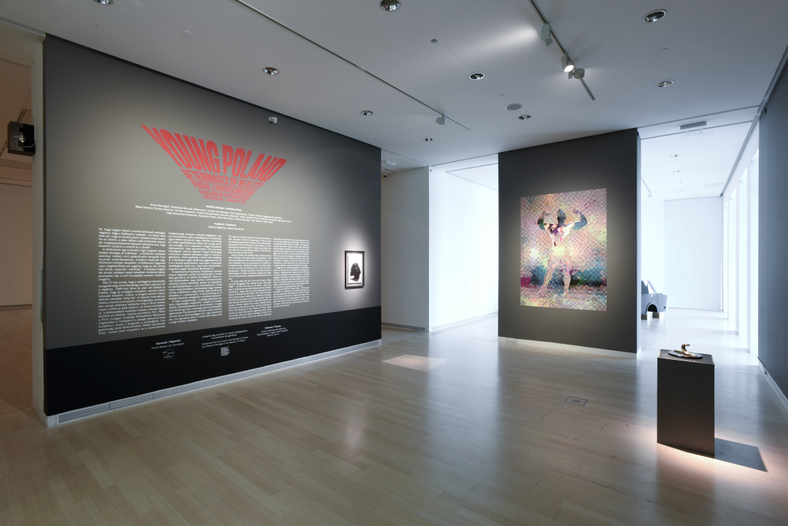 Kiállítási enteriőr (fotó: Rosta József) 9138