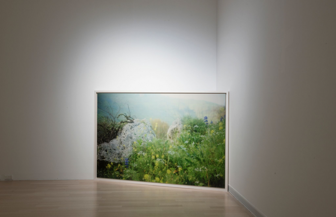 Fotó: Rosta József