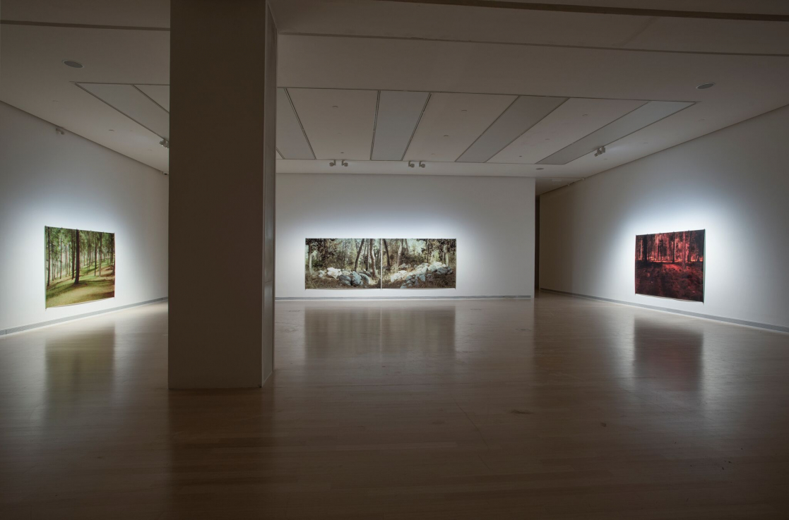 Fotó: Rosta József