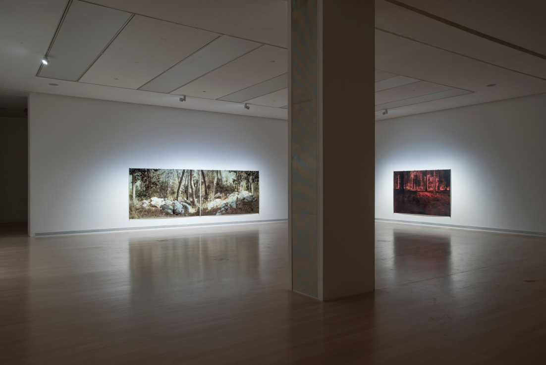 Fotó: Rosta József