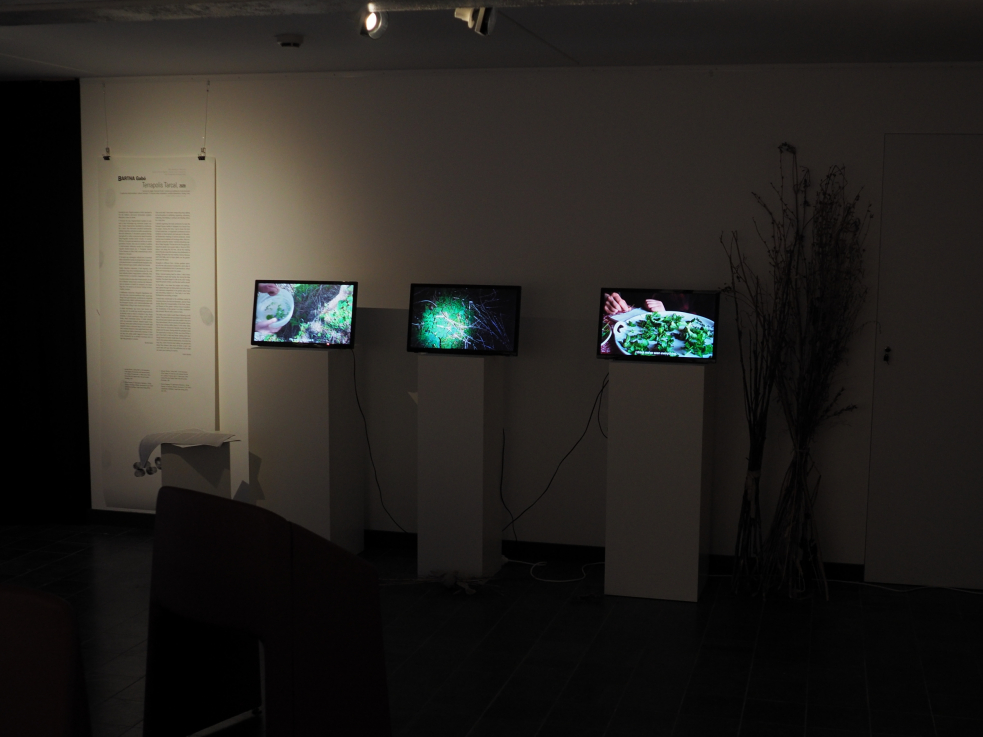 Fotó: Szörényi Miklós