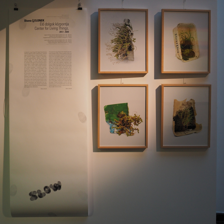 Fotó: Szörényi Miklós