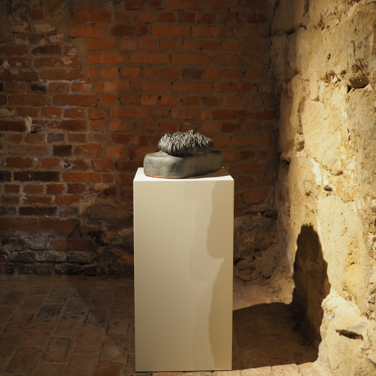 Fotó: Szörényi Miklós