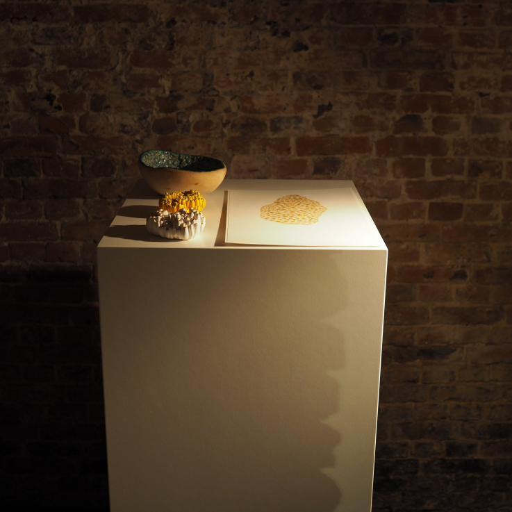 Fotó: Szörényi Miklós