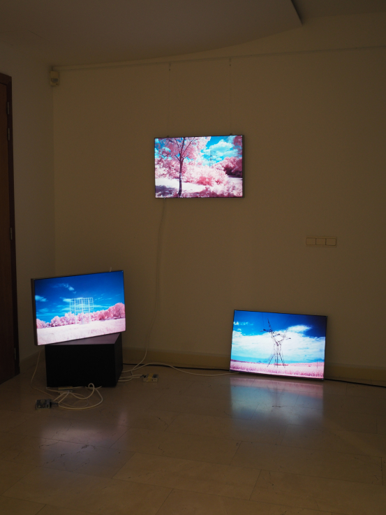 Fotó: Szörényi Miklós