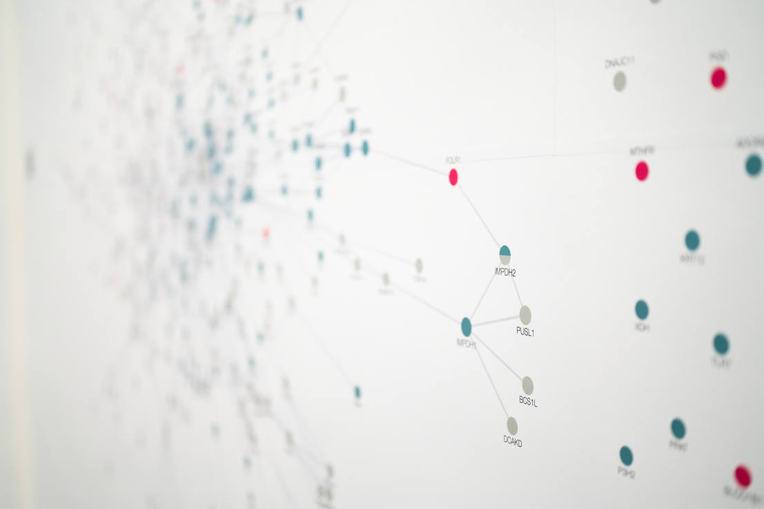 Fotó: SZABÓ Zsófia © Ludwig Múzeum – Kortárs Művészeti Múzeum  //  Photo: Zsófia SZABÓ © Ludwig Museum – Museum of Contemporary Art