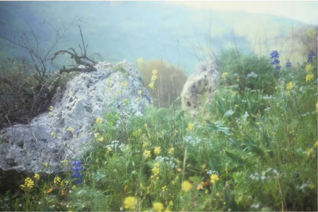 Rafael Y. Herman: Nocte Decus, 2016 chromogenic, 180 x 270 cm