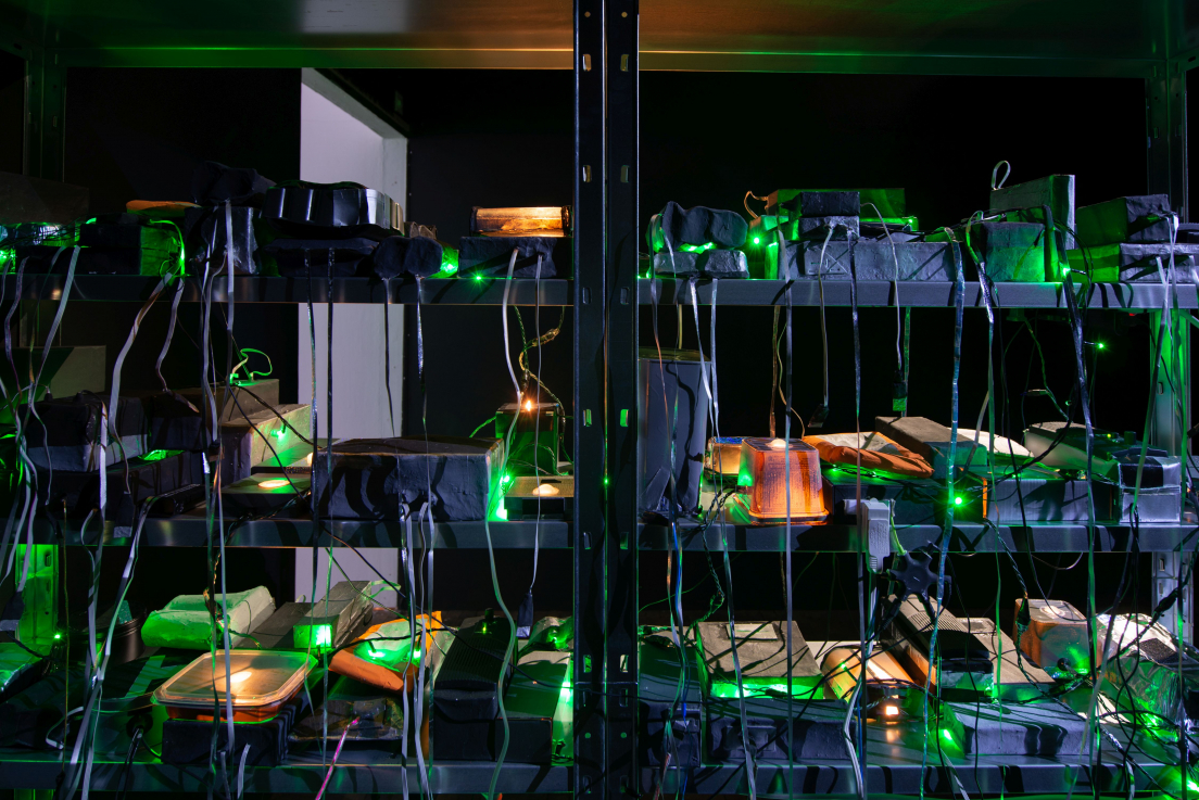 Frédérique Laliberté, Infinitisme.com Forever A Prototype, 2015-. Fotó: Olivier Miche