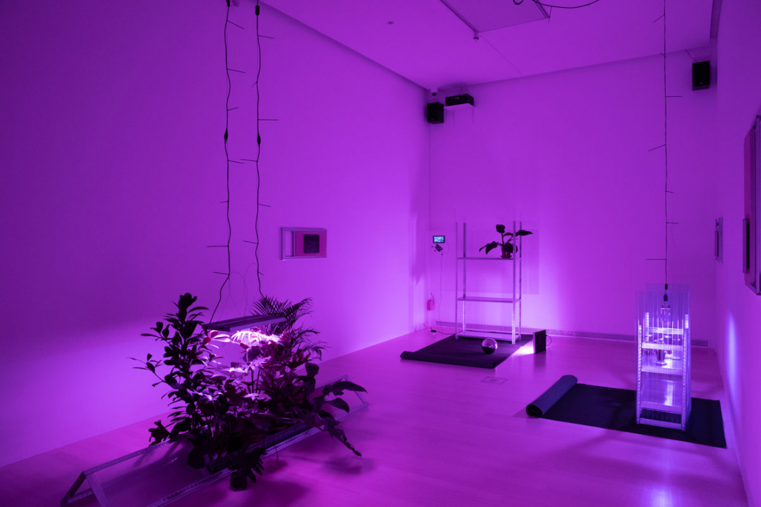 Fotó: KEREKES Zoltán © Ludwig Múzeum – Kortárs Művészeti Múzeum  //  Photo: Zoltán KEREKES © Ludwig Museum – Museum of Contemporary Art