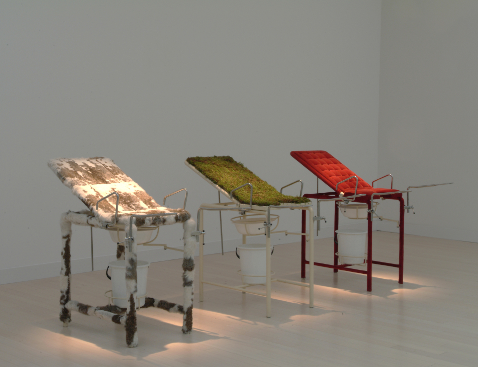 NÉMETH Ilona (1963, Dunaszerdahely / Dunajská Streda / SK) Nőgyógyászati magánrendelő / Private Gynaecological Surgery, 1997