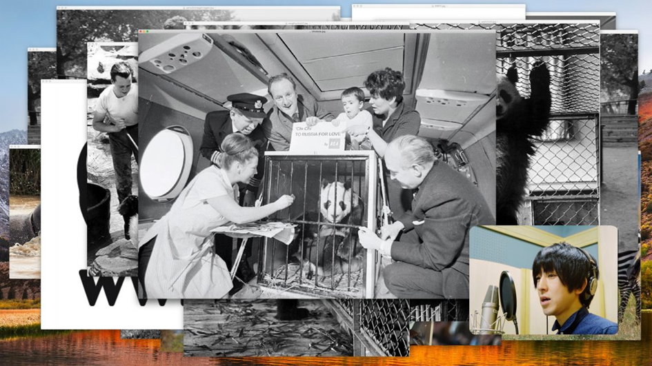 Vihar előtt. Tajvan múlt és jövő határán