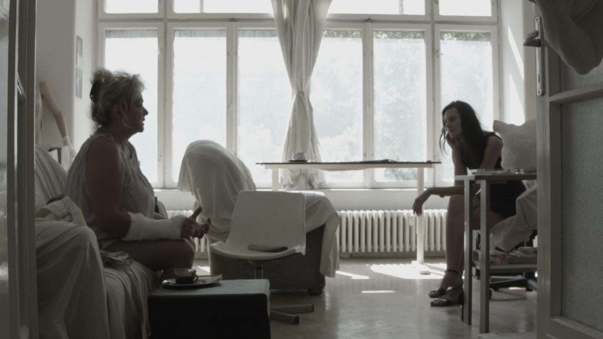 Arborétum fotó: Czakó Máté Kőrösi Máté