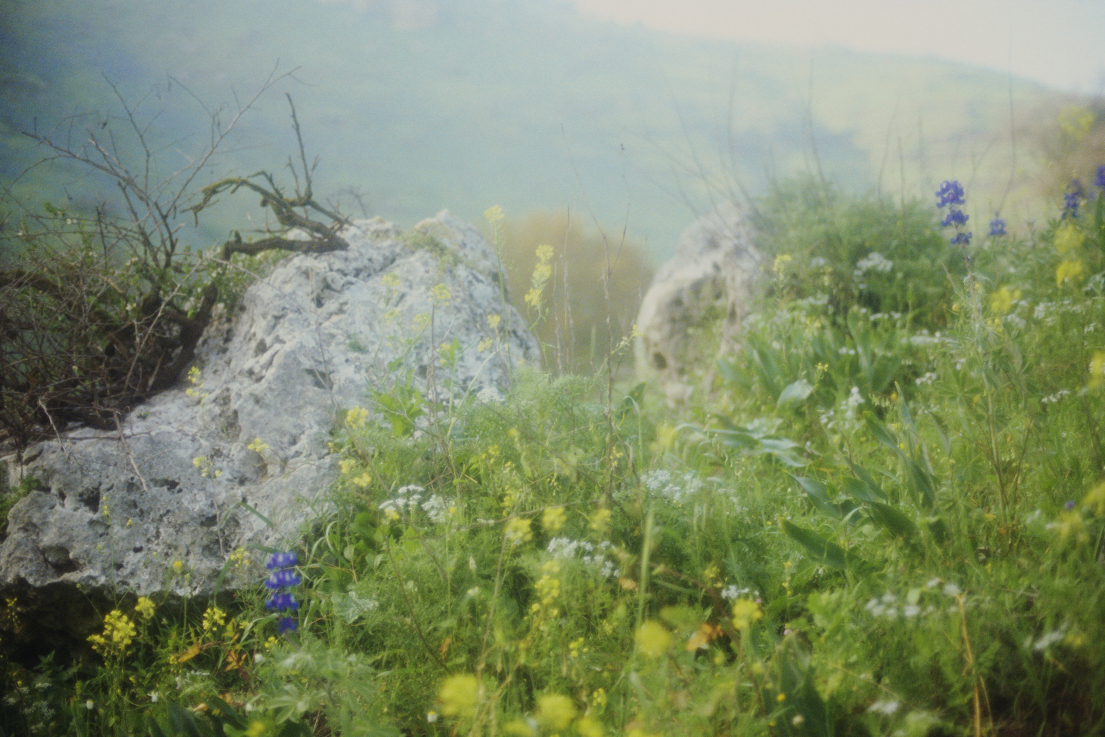 Rafael Y. Herman: Nocte Decus, 2016, chromogenic 180 x 270 _cm