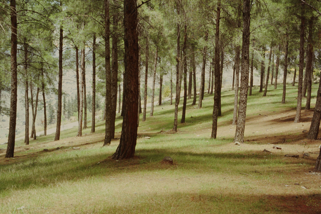 Rafael Y. Herman: Saltus III., 2010, 180 x 270 cm chromogenic