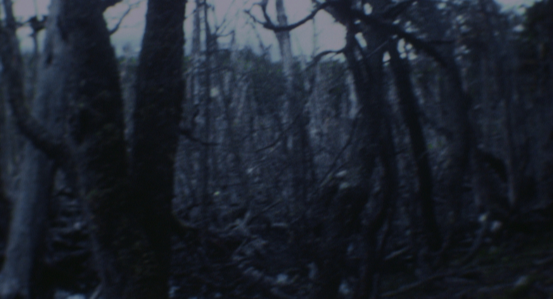 Retrospektív | Retrospective, 2016  3 HD videó | 3 HD video, 5 mm, 8 mm, 15’ 17”  képernyőfotó | screen capture