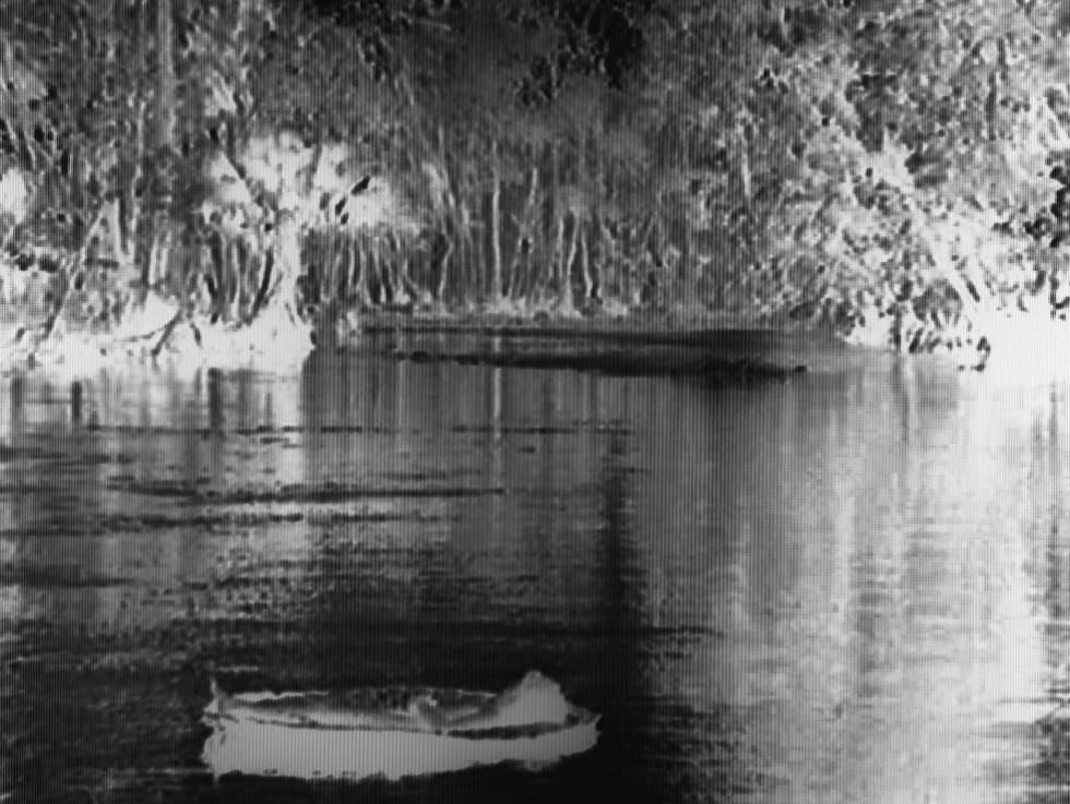 Fehér | White, 2009 – 2011 25 képből álló sorozat |series of 25 images tintasugaras nyomat | inkjet print, 420 x 594 mm