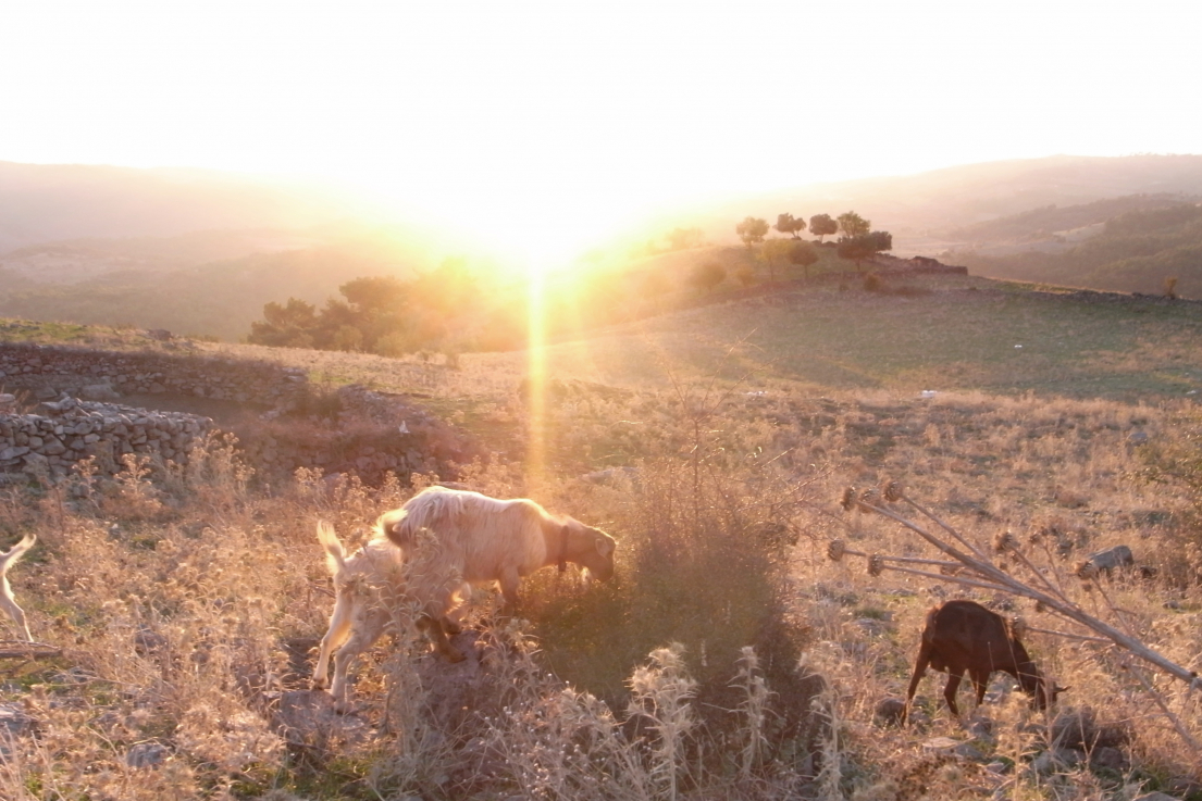 ERDEI Krisztina: Riseset, Victory of the Sun, fotósorozat, 2009-2020. A művész jóvoltából | ERDEI Krisztina: Riseset, Victory of the Sun, photography, 2009-2020. Courtesy of the artist