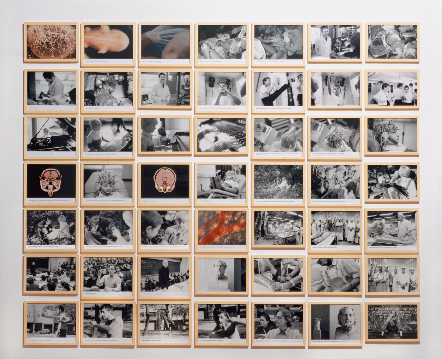 Hámos Gusztáv – Katja Pratschke: Elcserélt testek, 2001 Lambda print, kétcsatornás videoinstalláció, változó méretek Ludwig Múzeum – Kortárs Művészeti Múzeum fotó: Rosta József / Ludwig Múzeum – Kortárs Művészeti Múzeum