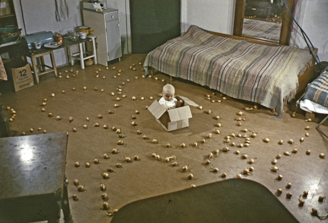 KwieKulik: Foglalkozás Dobromierz-zsel, 2008 videó, Blu-Ray, ed. 3/5, 31’6” Ludwig Múzeum – Kortárs Művészeti Múzeum fotó: Rosta József / Ludwig Múzeum – Kortárs Művészeti Múzeum