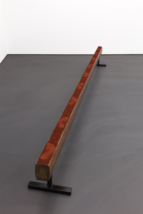 Roman Ondak, Mars Walk, 2019