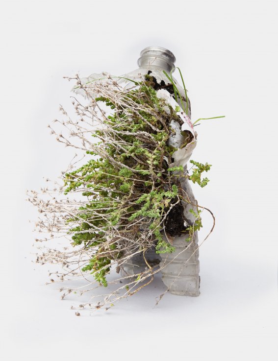 Diana Lelonek: &quot;Pet-environment&quot; from the series: &quot;Center For Living&quot;, 2017