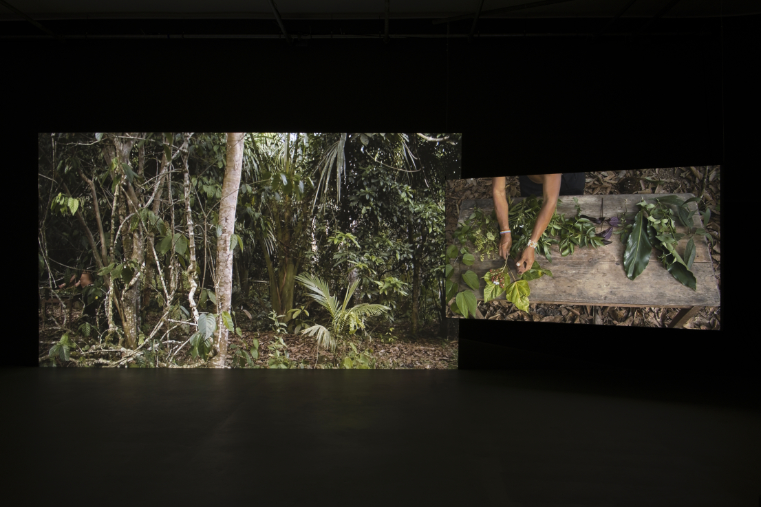 Ursula BIEMANN &amp; Paulo TAVARES: Az erdő törvénye, multimedia-installáció, 2014. A művészek jóvoltából | Ursula BIEMANN &amp; Paulo TAVARES: Forest Law, multimedia installation, 2014. Courtesy of the artists’