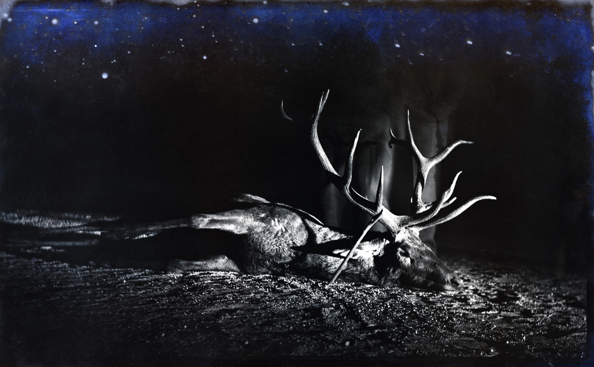 ESTERHÁZY Marcell: The End of a Long March, 2011 digitális fotó, diasec giclée nyomat, ed 1/1+AP / digital photo, diasec giclée print, ed 1/1+AP, 167 × 270 cm A művész tulajdona / Courtesy of the artist