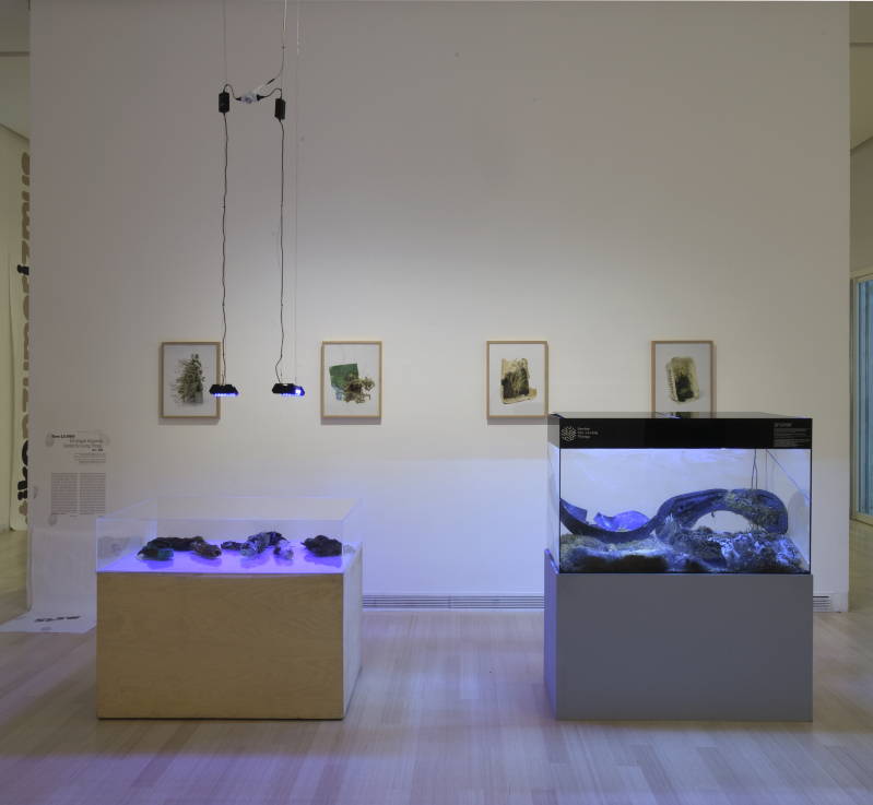 Fotó: ROSTA József © Ludwig Múzeum – Kortárs Művészeti Múzeum //  Photo: József ROSTA © Ludwig Museum – Museum of Contemporary Art