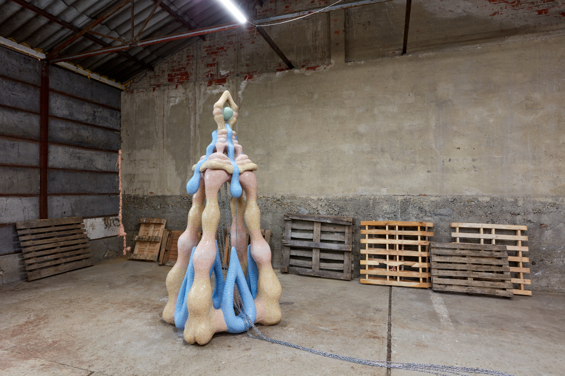 Fotó: Bíró Dávid