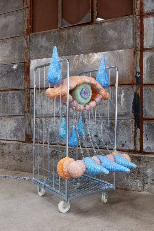 Fotó: Bíró Dávid