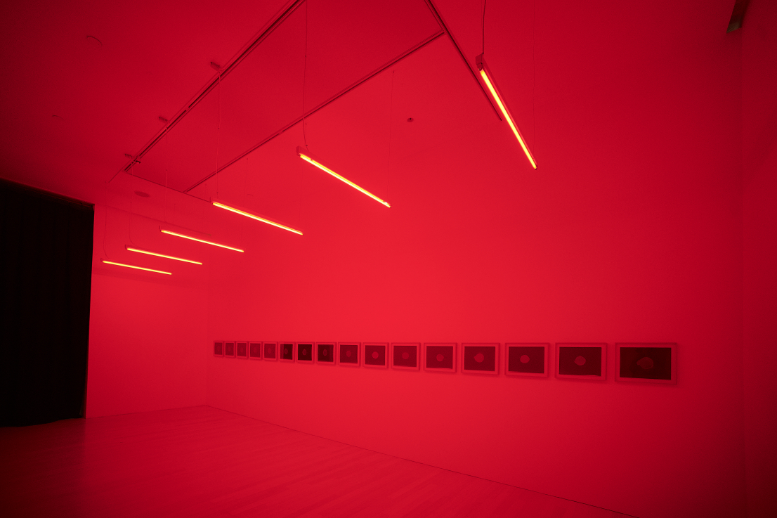 Fotó: VÉGEL Dániel © Ludwig Múzeum - Kortárs Művészeti Múzeum //  Photo: Dániel VÉGEL © Ludwig Museum - Museum of Contemporary Art