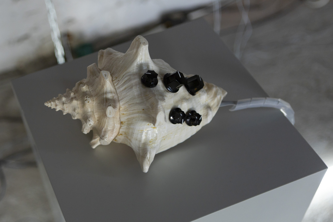 FÜGEDI Zsófia © Ludwig Múzeum – Kortárs Művészeti Múzeum // Photo: Zsófia FÜGEDI © Ludwig Museum – Museum of Contemporary Art