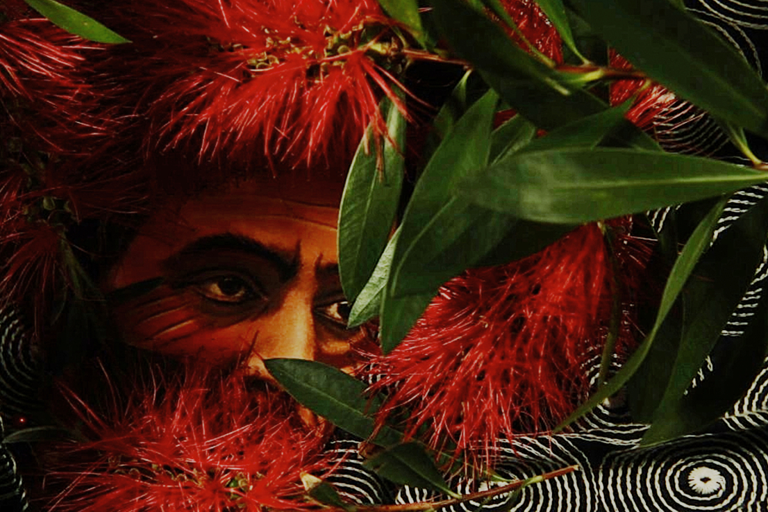 Janie GEISER: A kolibriháborúk / The Hummingbird Wars, 2014, videórészlet / film still  A művész jóvoltából / Courtesy of the artist