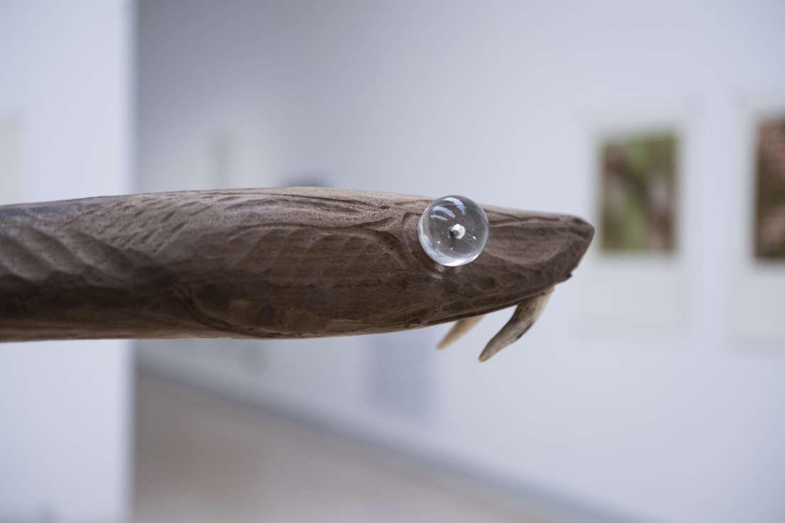 Fotó: GLÓDI Balázs © Ludwig Múzeum – Kortárs Művészeti Múzeum // Photo: Balázs GLÓDI © Ludwig Museum – Museum of Contemporary Art