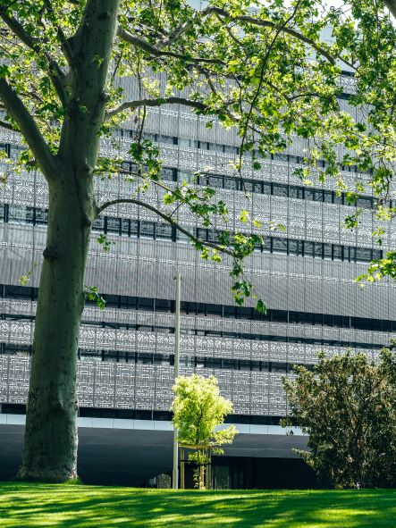 Museum of Ethnography, László Incze