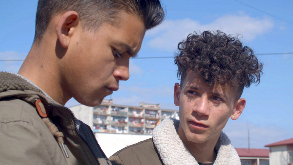 Phill Collins: Home to You, 2019, Courtesy Shady Lane Productions, Berlin