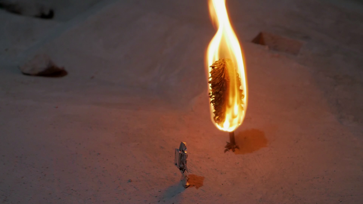 Oto HUDEC: Hullám a kert előtt | Wave in Front of the Garden, 2019 HD videó (állókép) | video (video still), 3’39” © Peter und Irene Ludwig Stiftung, Aachen, 2025